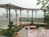 英德龍山莊天臺(tái)花園-塑樹(shù)皮棚架、塑樹(shù)樁花基