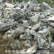 產(chǎn)地低級(jí)直銷(xiāo)英德英石峰石，假山造景石