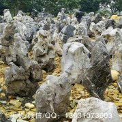 英德太湖石，精品觀(guān)賞石，草坪點(diǎn)綴景石